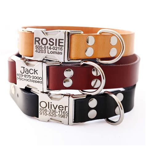 designer male dog collars.